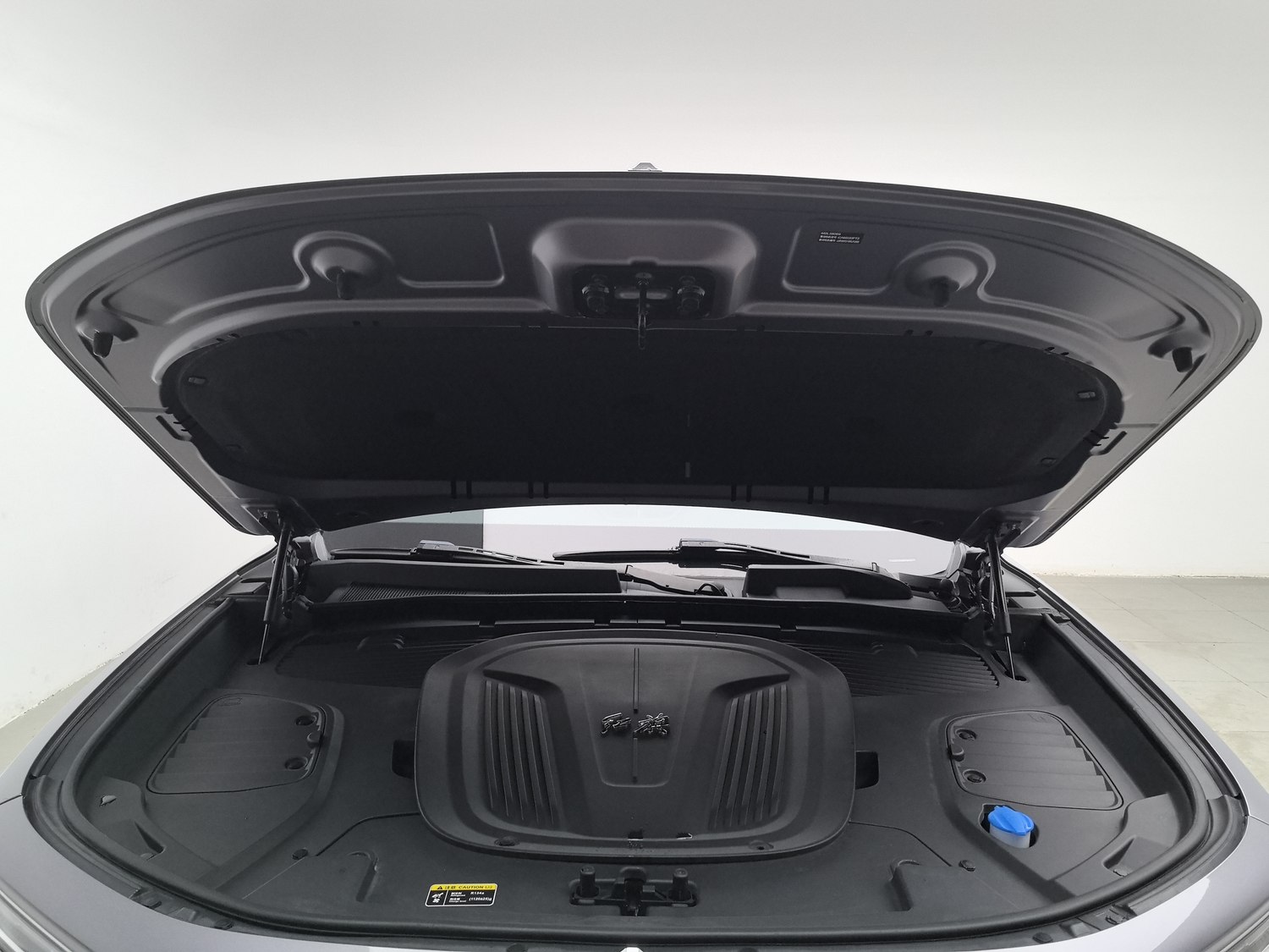 Used Hongqi E-HS9 2021