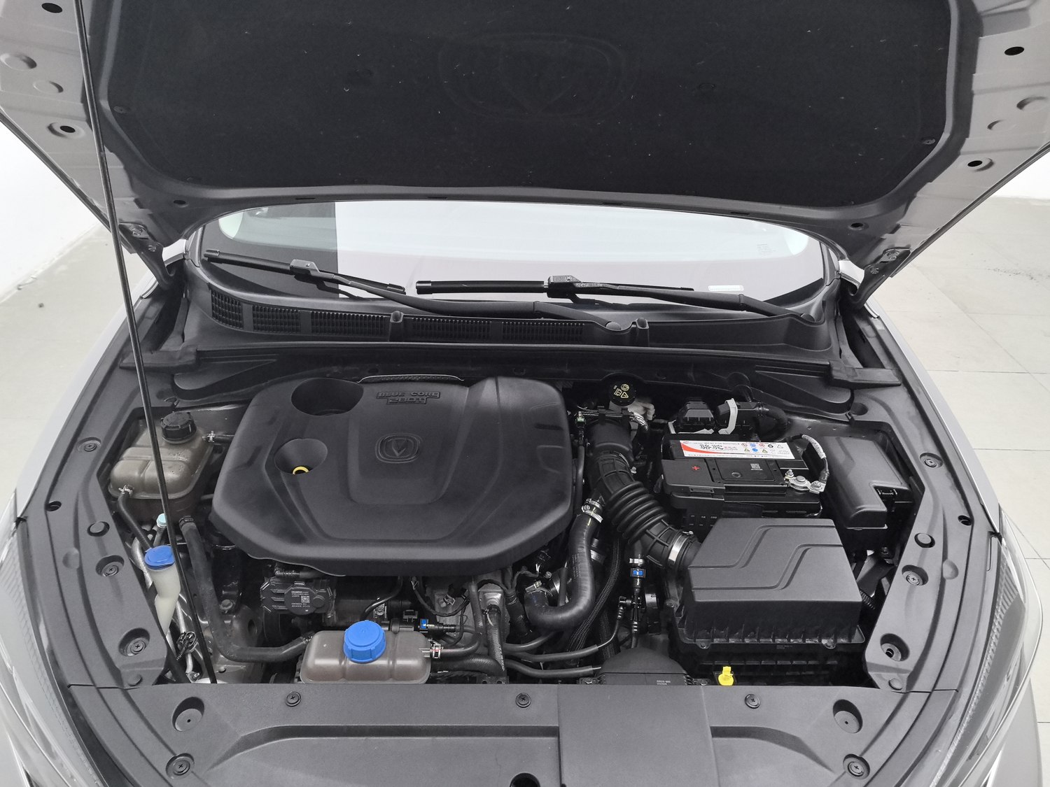 Used Changan Eado 2020 1.4 AT