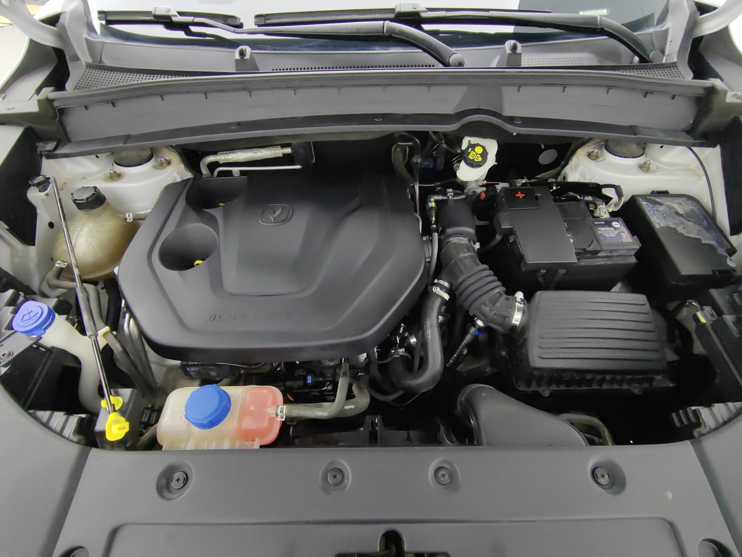 Used Changan CS55 PLUS 2022 1.5 AT
