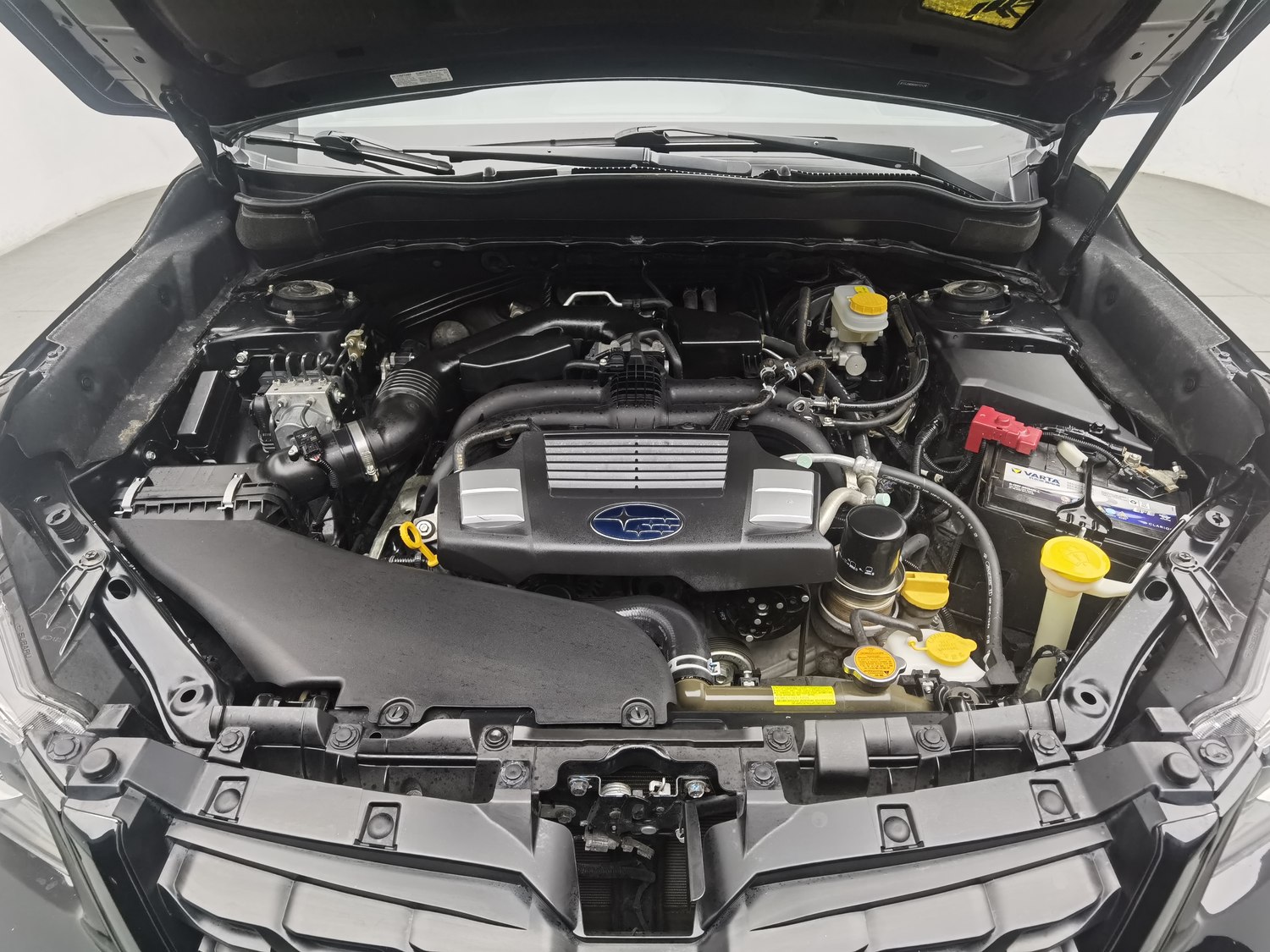 Used Subaru Forester 2016 2.5 AT