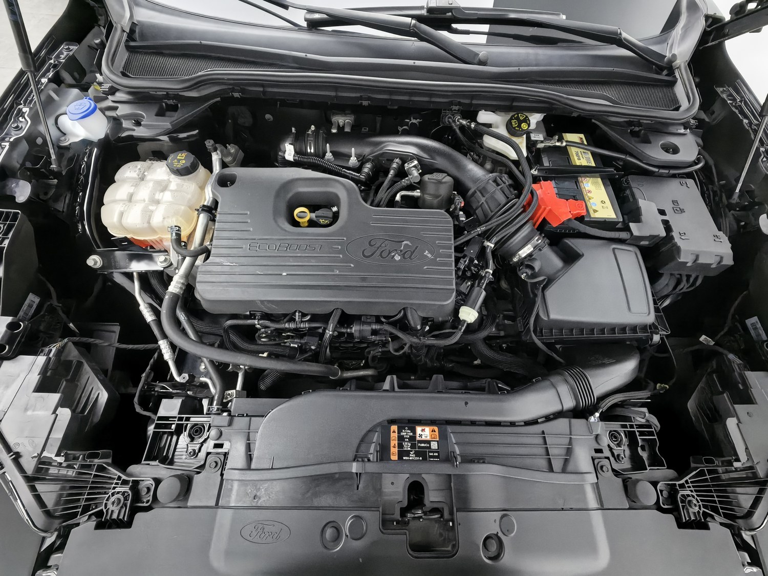 Used Ford Evos 2022 2.0 AT
