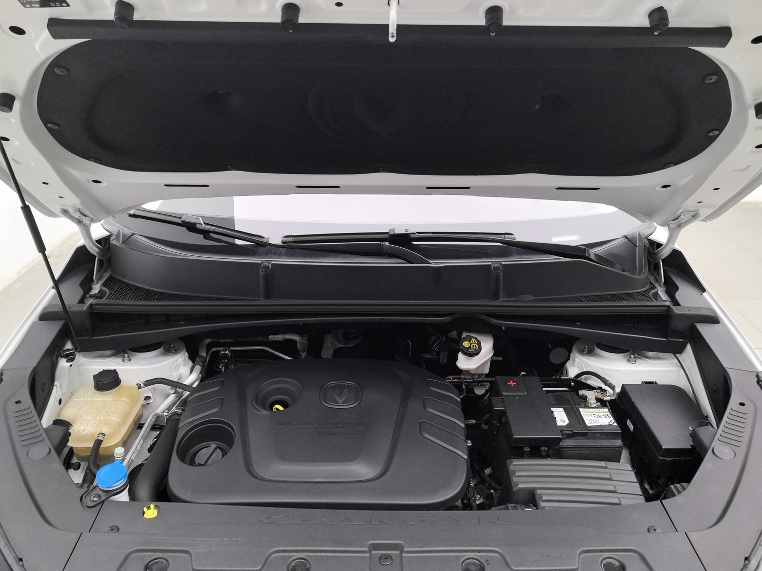 Used Changan CS55 2019 1.5 AT
