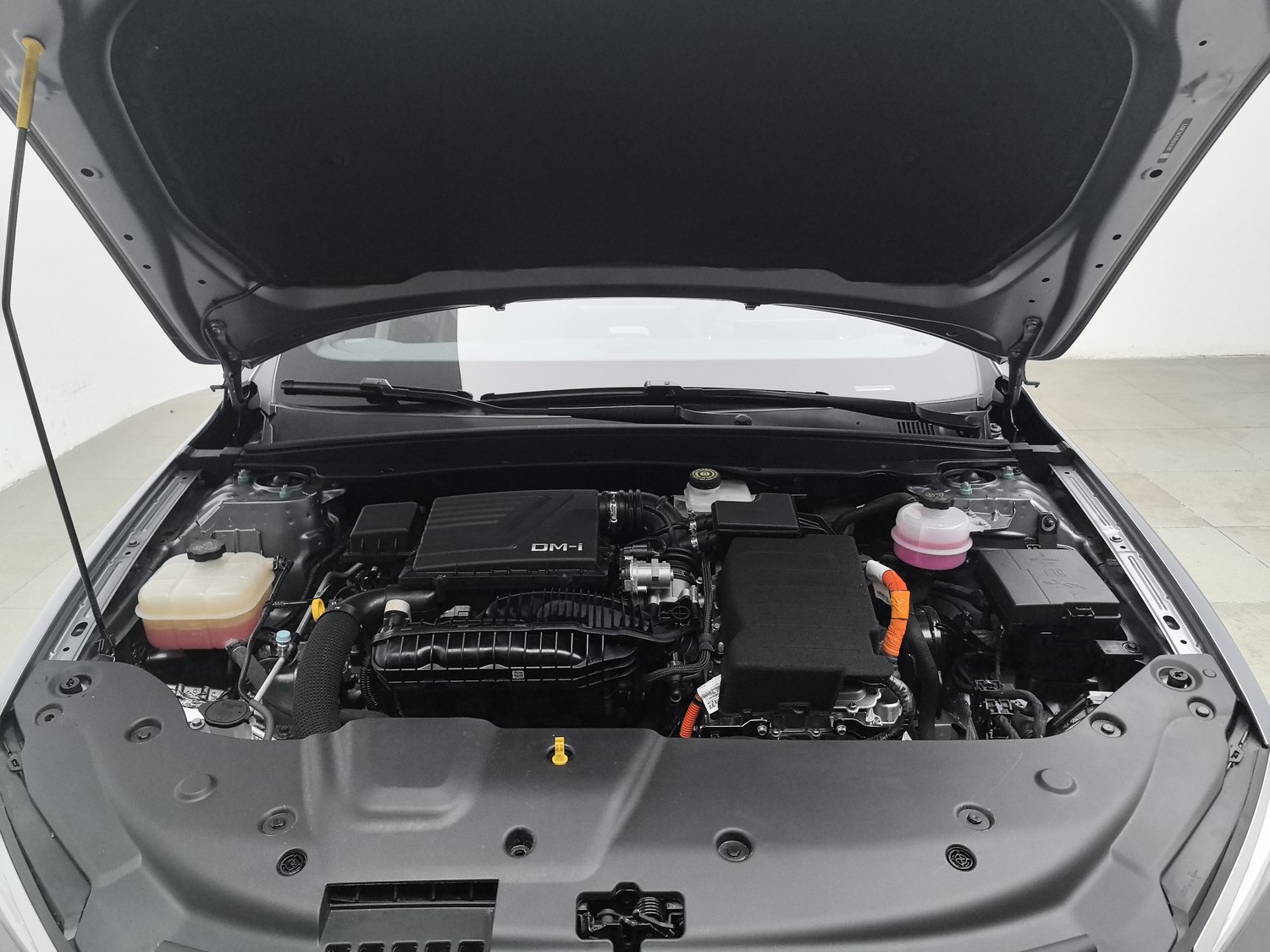 Used BYD Qin PLUS 2024 1.5 AT
