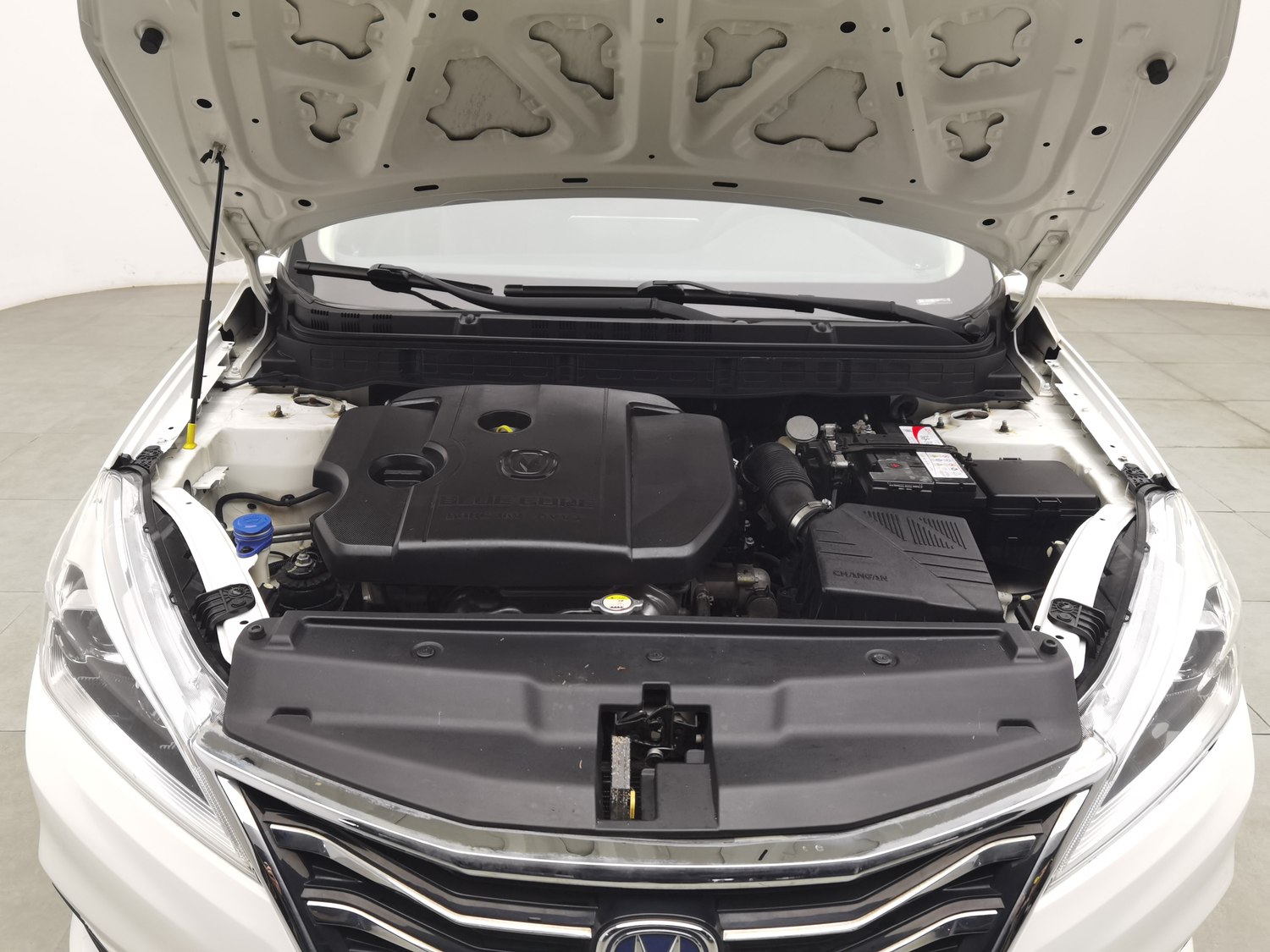 Used Changan Eado DT 2019 1.6 AT