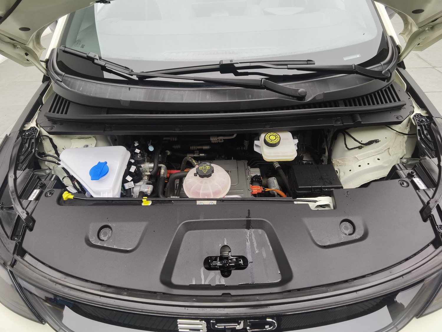 Used BYD Dolphin 2025