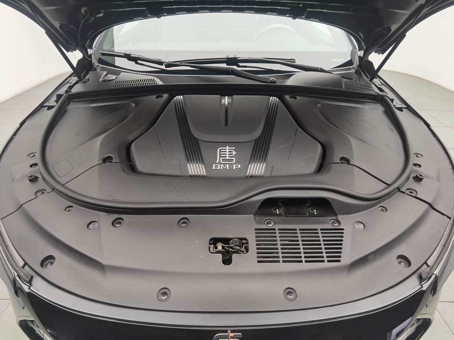 Used BYD Tang EV 2024 1.5 AT