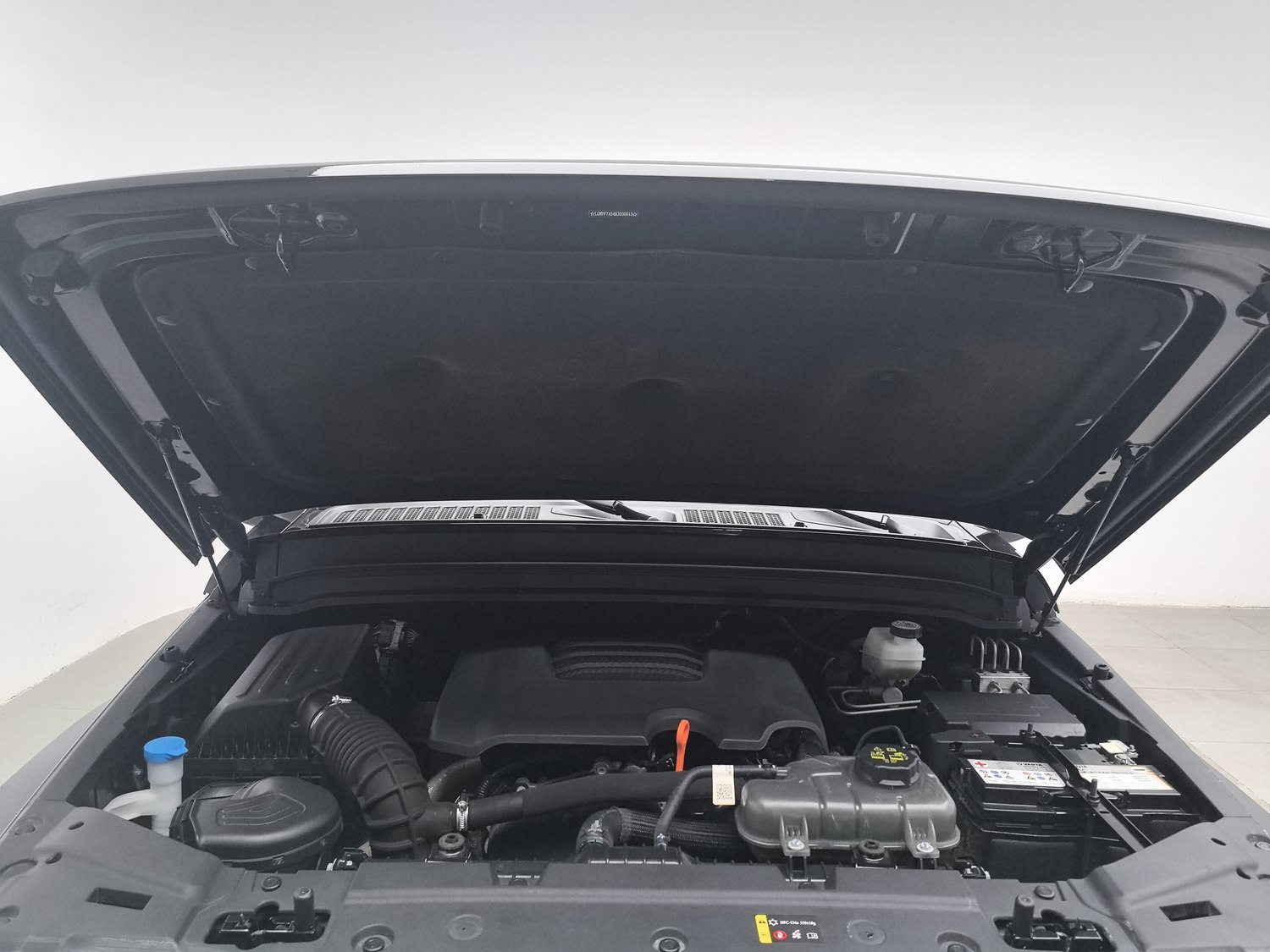 Used Tank 300 2024 2.0 AT