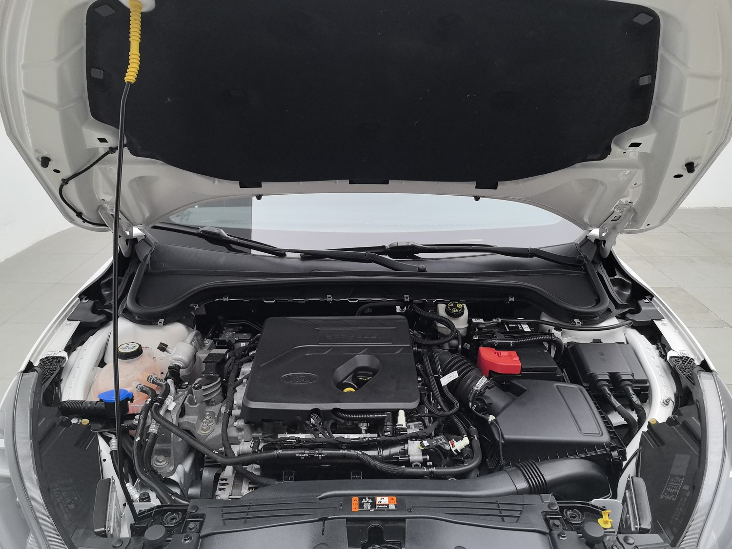 Used Ford Focus 2019 1.5 AT