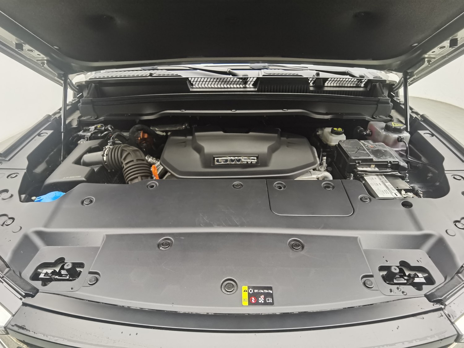 Used Tank 400 EV 2024 2.0 AT